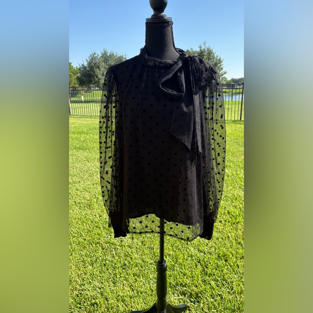 Anthropologie x Maeve: Black Sheer Polka Dot Blouse
